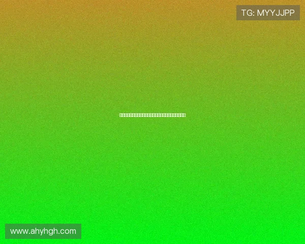 前国脚邵佳一正式出任中国男足国家队主教练开启全新征程